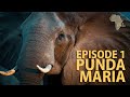 Punda Maria & Pafuri - Lost in Kruger Ep1