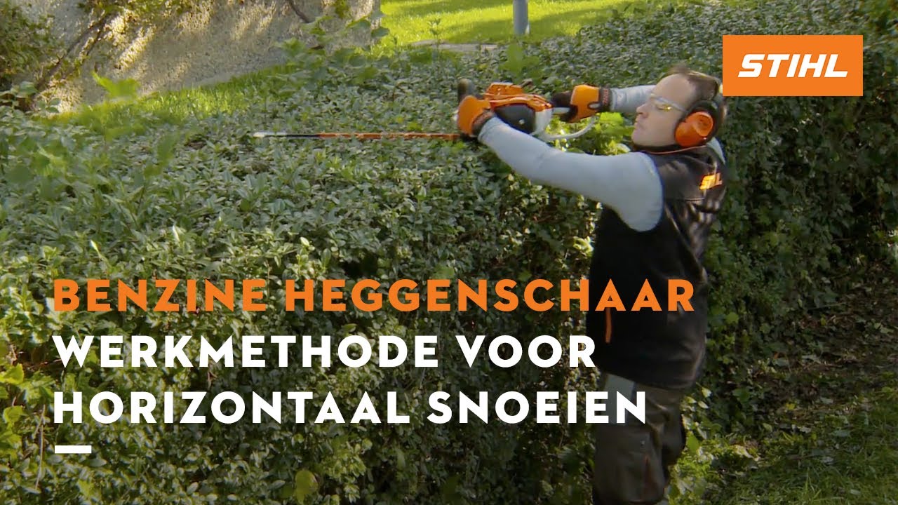 stuiten op knuffel piramide Werkmethode voor horizontaal snoeien - STIHL Benzine heggenscharen - YouTube