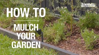 How To Mulch Your Garden: A Step-By-Step Guide from Bunnings Warehouse