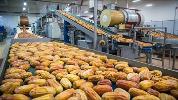 Amazing Medjool Dates Fruit Farming and Factory - Artificial Intelligence Date Processing Technology