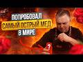 Попробовал САМЫЙ ОСТРЫЙ МЕД в Мире