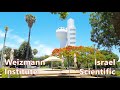 Weizmann Institute of Science, Rehovot, Israel. Relaxing Walk