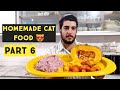 Homemade Cat Food | persian cat food recipe for Summer | How to make cheap homemade cat food at home