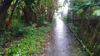 Rain and green village views, walking around in the rain