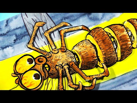 Tortures for Flies:
