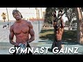 Bodybuilding With Gymnastics | Upper Body Workout (NJA DAY 1)