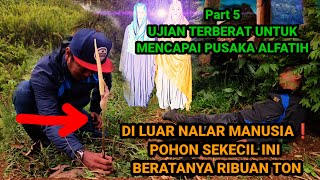 Download Lagu DI LUAR NALAR❗POHON SEKECIL INI BERATNYA RIBUAN TON MP3 Download Lagu DI LUAR NALAR❗POHON SEKECIL INI BERATNYA RIBUAN TON MP3