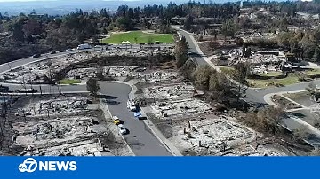 How to survive a wildfire if you don