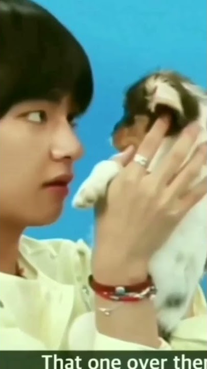 Taehyung scared that dog  #shorts