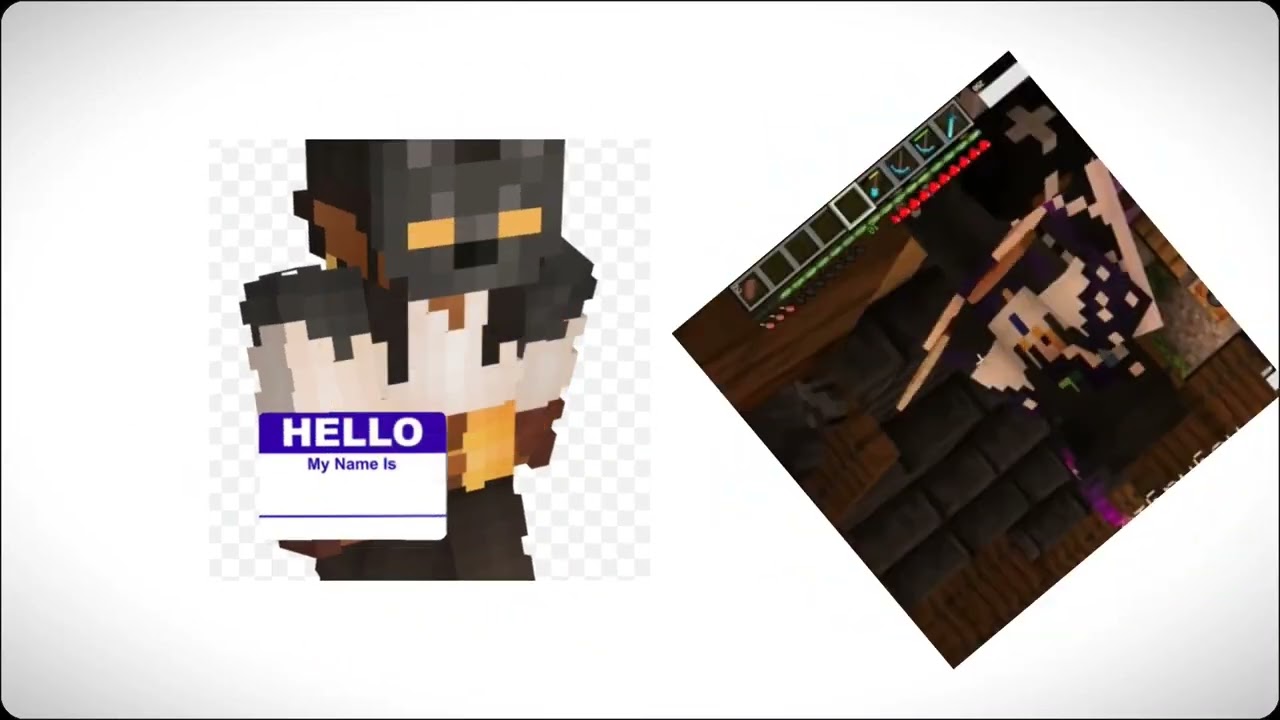 every starbarks visit 