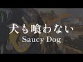 犬も喰わない/Saucy Dog【ギター弾いてみた】
