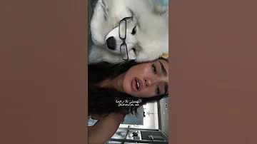 اغنية Mala مترجمة Trending Tiktok Lyrics Editlyrics Songs Mala Malalyrics 