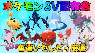 ポケモンSV  激レア色違い・伝説配布会＆色セレビィ厳選　#ポケモン #配布 #色違い #shorts