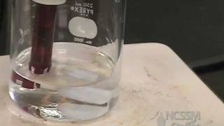 Polyprotic Acid Titration Lab
