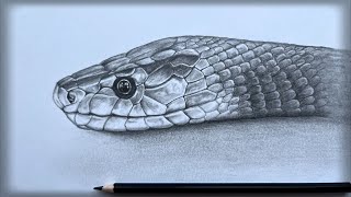 Cómo debujar una Serpente|paso o paso|Рисуем Змею|snake|mejor