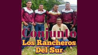 Vignette de la vidéo "Puño De Tierra - Conjunto Los Rancheros Del Sur"