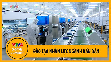Đào tạo nhân lực ngành bán dẫn – kinh nghiệm từ quốc tế | VTV4