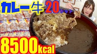 【大食い】[松屋]牛めし×カレー20セットを楽ちんお取り寄せ！[4キロ]8500kcal【木下ゆうか】