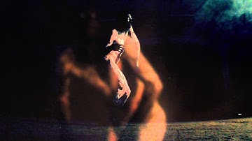 DARK FORTRESS - Chrysalis (OFFICIAL VIDEO)