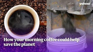 How your morning coffee could help save the planet | Yahoo Australia