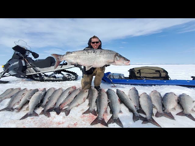 4 Days Camping & Fishing on Arctic Ocean - GIANT Sheefish Catch & Cook Alaska Adventure class=