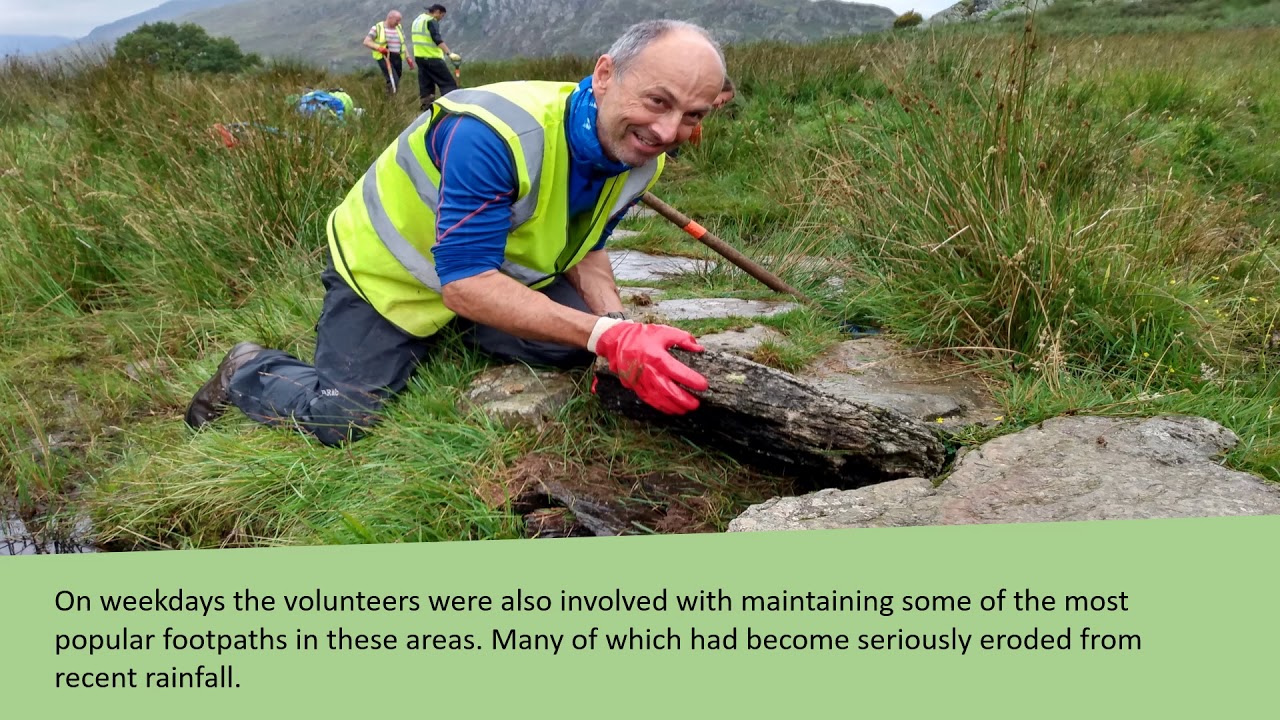 Gwaith Cadwraeth Haf 2020 // Conservation Work Summer 2020