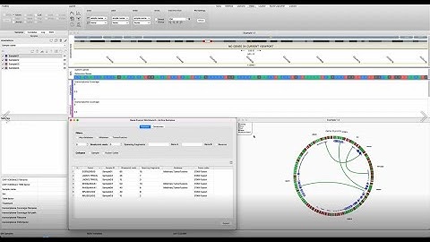 Analyze gene fusions with extensive functionality in the Gene Fusion Workbench.