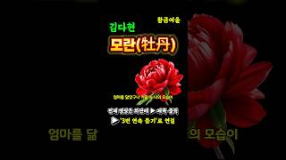 김다현 ‘모란’｜사모곡의 진수｜3번 연속 듣기 #김다현 #모란 #사모곡 #3번연속듣기 #트로트명곡 #부모님노래 #효도송 #감성트로트 #눈물나는노래 #위로노래