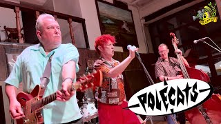 ▲Polecats - Live at Nasty Boys Saloon (May 2024)