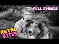 Lassie | Lassie's Decision | Full Episodes  | Cartoons For Kids | Kids Movies 🐕
