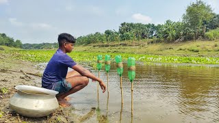 Unbelievable Fish Trap 2024✅| Traditional Catch Fish With Plastic Bottle Hook From Beautiful Nature