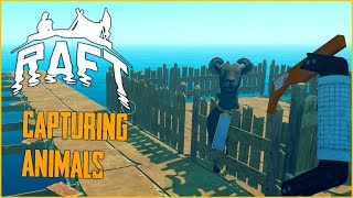 CAPTURING ANIMALS RAFT GAMEPLAY