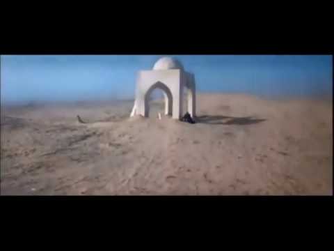 На все четыре стороны