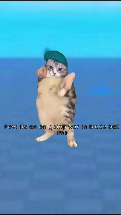 If I find somehting NSFW the video ends - Sad Cat Dance 