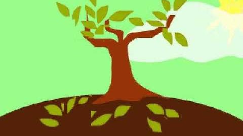 The Growing of Tree (macromedia flash 8)