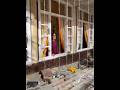 Hina afreedi drama shooting scene #hinaafridi #trending #viral #behindthescenes