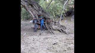 video de mi rancho el zapatero