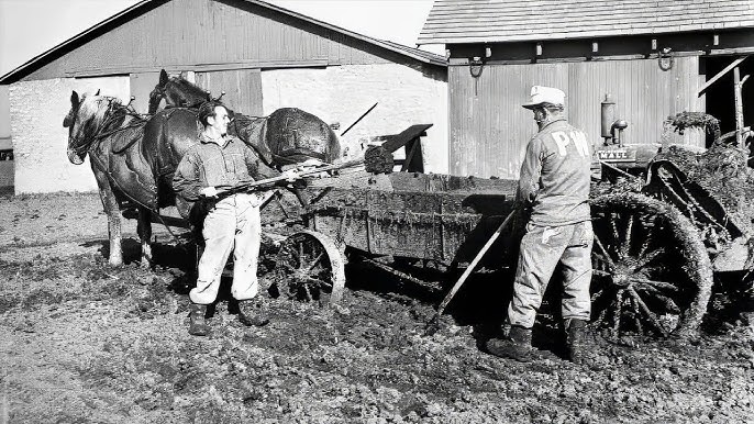 Dieses Familienfoto aus dem Jahr 1895 sieht normal aus – bis man sieht, was an der Wand hängt - YouTube