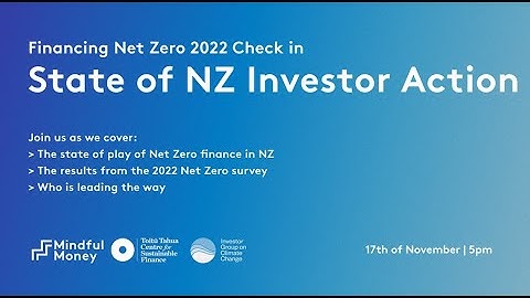 Financing Net Zero Check in 2022