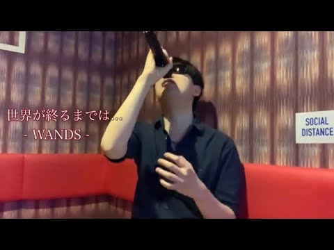 【世界が終るまでは...】(WANDS)/歌ってみた/カラオケ
