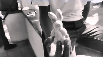 How I became a CS student   Literacy Narative ALL 121