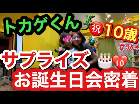 トカゲくんの10歳誕生日をサプライズでお祝いしたらまだまだ赤ちゃんみたいに喜んでくれて母泣いちゃう爆🥹優しいトカゲくんに癒されるの巻