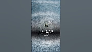 تلاوة مباركة بصوت جميل #القران_الكريم #اكسبلور #تلاوتقران #القرانالكريم