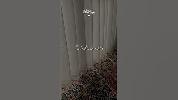 سورة نوح  تلاوة خاشعة للشيخ ماهر المعيقلي#قران #القران_الكريم #قران_كريم #راحة_نفسية #تلاوة_خاشعة