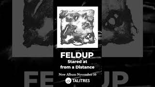 Feldup - New Album Stared at from a Distance