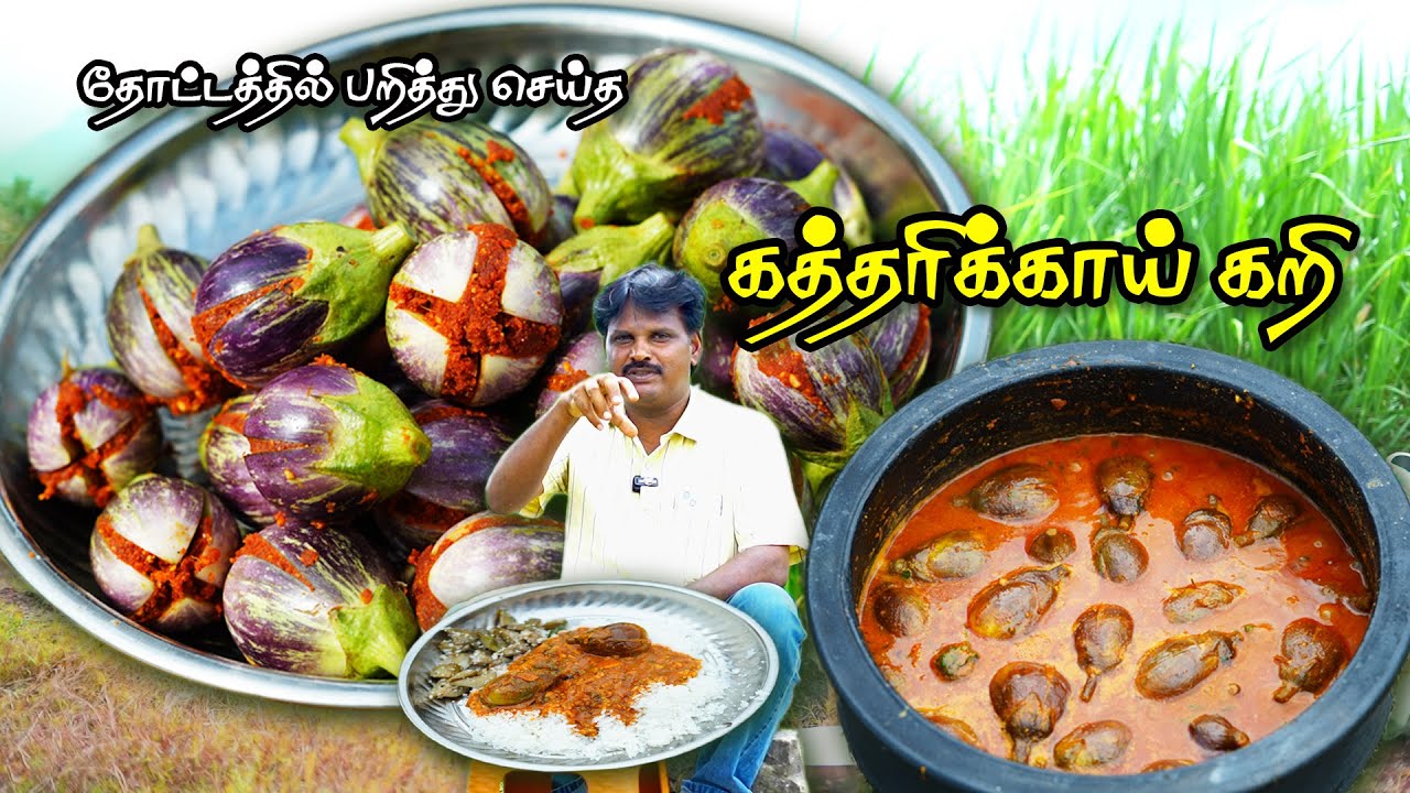 🧔🏻தோட்டத்தில் பறித்து அப்பா செய்த 🍆கத்தரிக்காய் கறிக்குழம்பு🤤🍲 #food #cooking #vegcurryrecipe