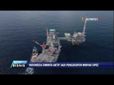 Video: Mengapa OPEC ditubuhkan?