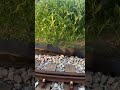 山田軽便鉄道農園線畑駅周辺の景色