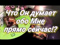 ЧТО ОН ДУМАЕТ ОБО МНЕ СЕГОДНЯ. ТАРО ДЛЯ ТЕБЯ. МЫСЛИ ВАШЕГО МУЖЧИНЫ ПРЯМО СЕЙЧАС. ТАРО ОНЛАЙН