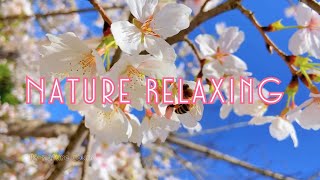 : Nature relaxing